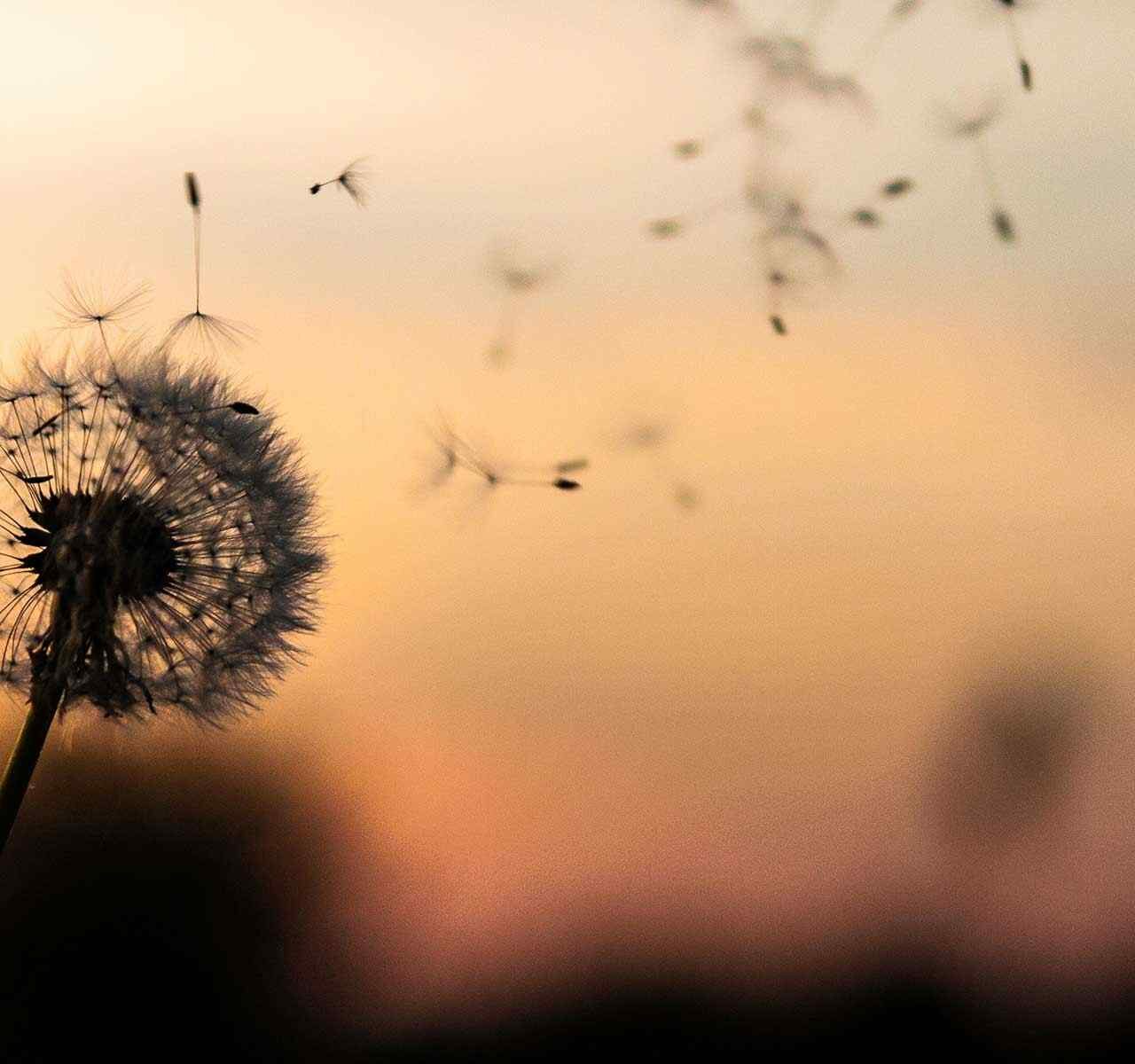 https://www.societejuridique.com/wp-content/uploads/2018/09/post_02-1280x1200.jpg