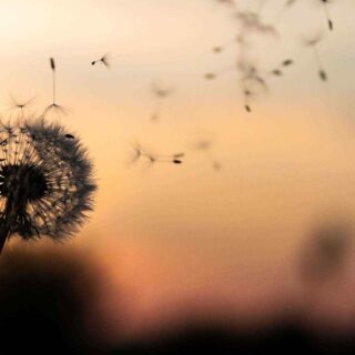 https://www.societejuridique.com/wp-content/uploads/2018/09/post_02-320x320.jpg