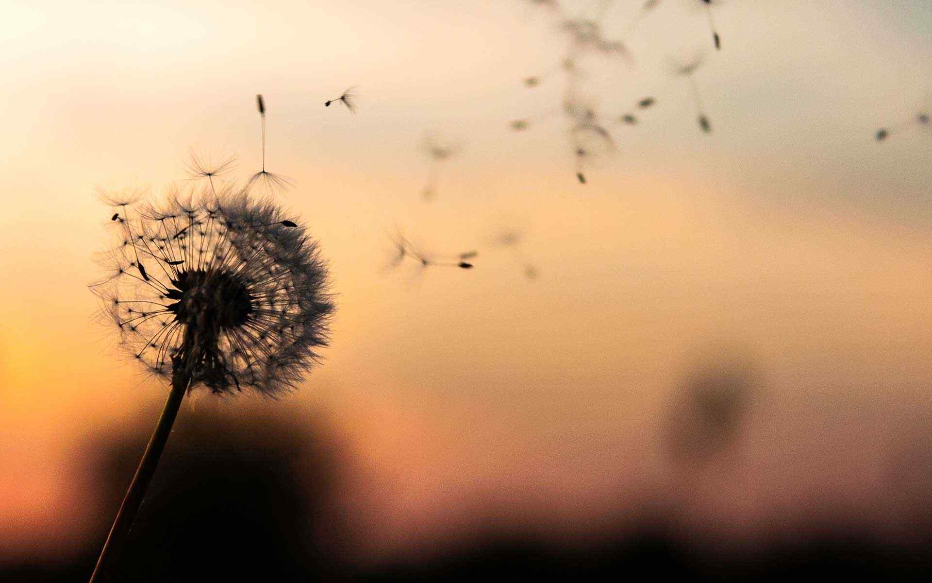 https://www.societejuridique.com/wp-content/uploads/2018/09/post_02.jpg
